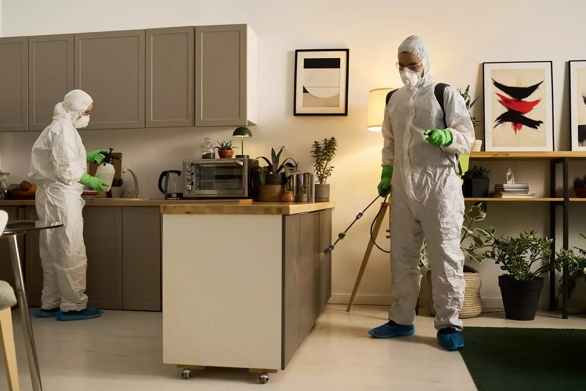 Pest Control Service in the USA